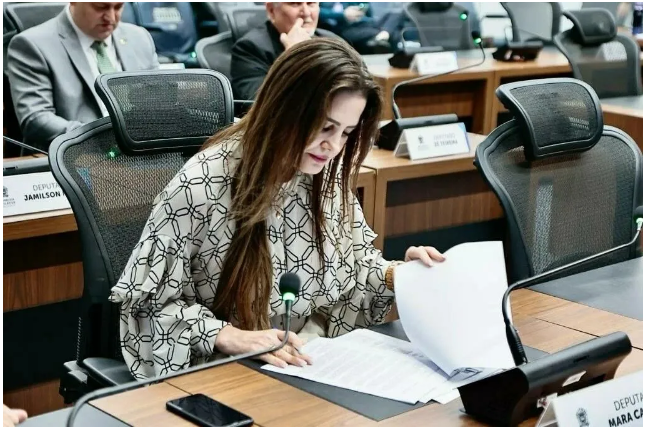 Imagem de compartilhamento para o artigo Projeto da deputada Mara Caseiro sobre violência contra mulheres será votado hoje da MS Todo dia